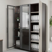 Office Cabinet with Premium File Storage and Modern Design Look, and High Durability with Glass Doors