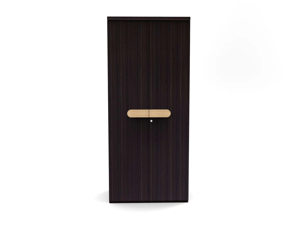 Wardrobe for Home 2-Door Designer Handles and Minimalist Aesthetic and Smooth Door Mechanism