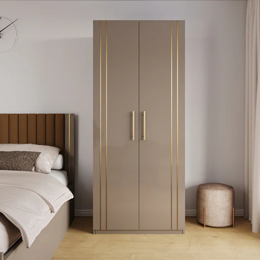 Wardrobe 2-Doors Modern Design with Soft-Close Hinges, Designer Handles, and Elegant Bedroom Storage