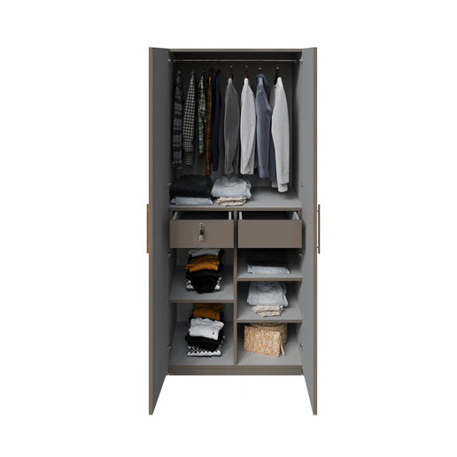Wardrobe 2-Doors Modern Design with Soft-Close Hinges, Designer Handles, and Elegant Bedroom Storage