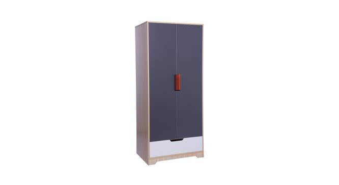 Wardrobe Two‑Door Sliding in Grey & Walnut Finish – Spacious Storage, Smooth Glide Doors, Sleek Modern Look