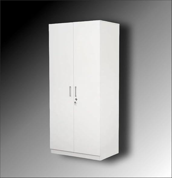 2-Door Wardrobe with Spacious Storage, Durable Build & Sleek Space-Saving Design