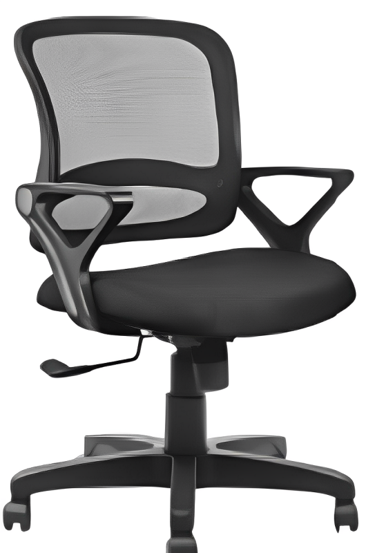 Low Back Executive Chair with Nylon Base