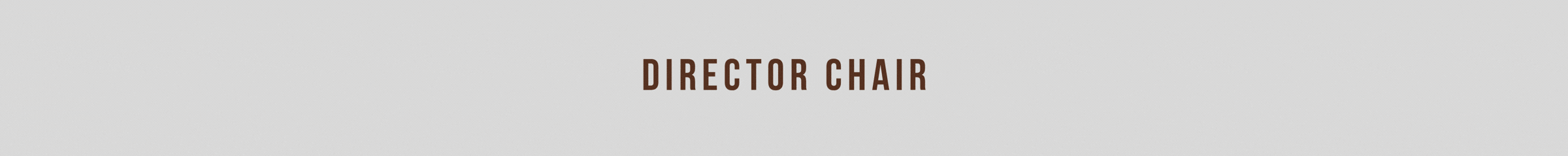 Director Chair
