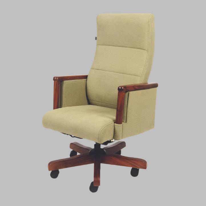 Director Chair