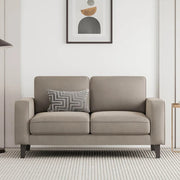 A modern gray 2-seater fabric sofa with teak wood legs, placed in a well-decorated living room setting.