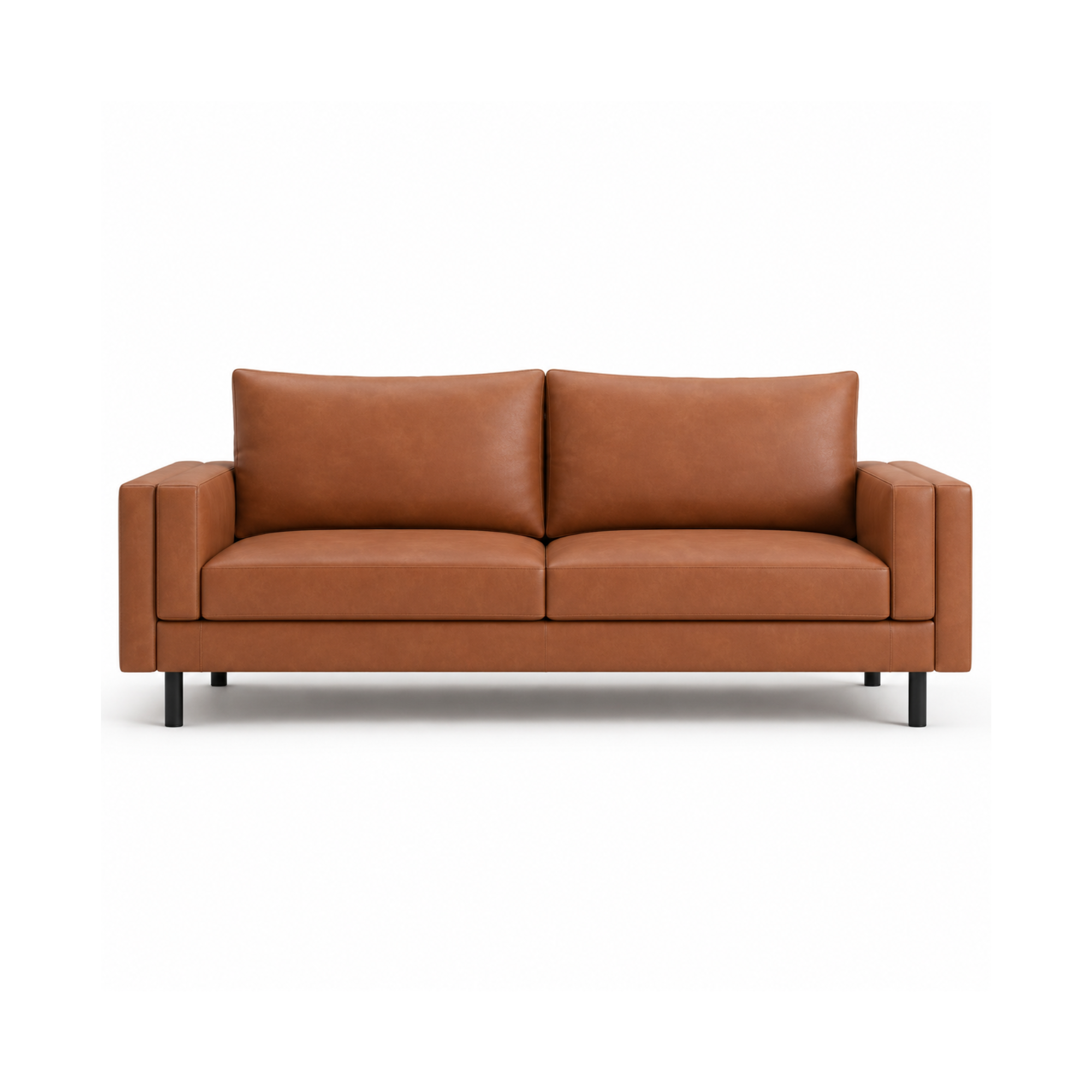 2 Seater Sofa for Modern Style Sofa for Living Room Furniture and Comfort Seating