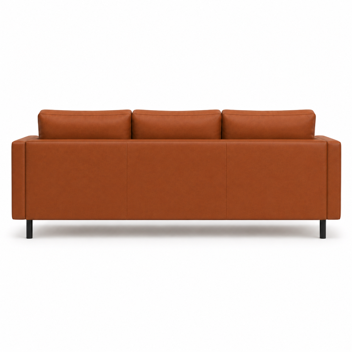 2 Seater Sofa for Modern Style Sofa for Living Room Furniture and Comfort Seating