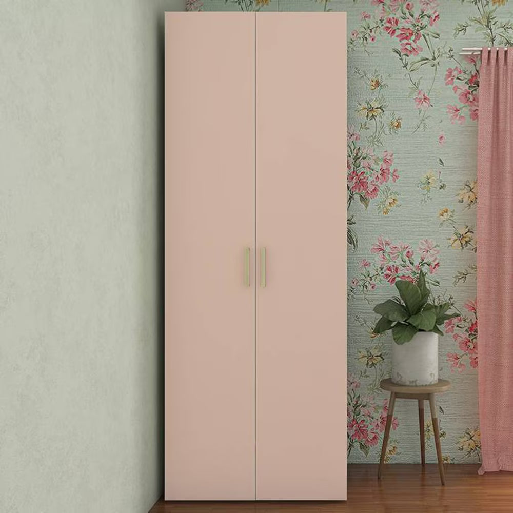 Wardrobe 2 Door Modern Design with Hanging Space and Organizer Shelves