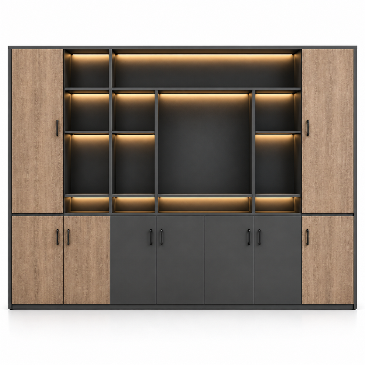 Modern Executive Cabinet with Doors, Open Display Shelves and Large File Storage, Office Cabinet for Books