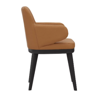Dining Chair with Sturdy Wooden Base and Soft Cushion and Everyday Comfort