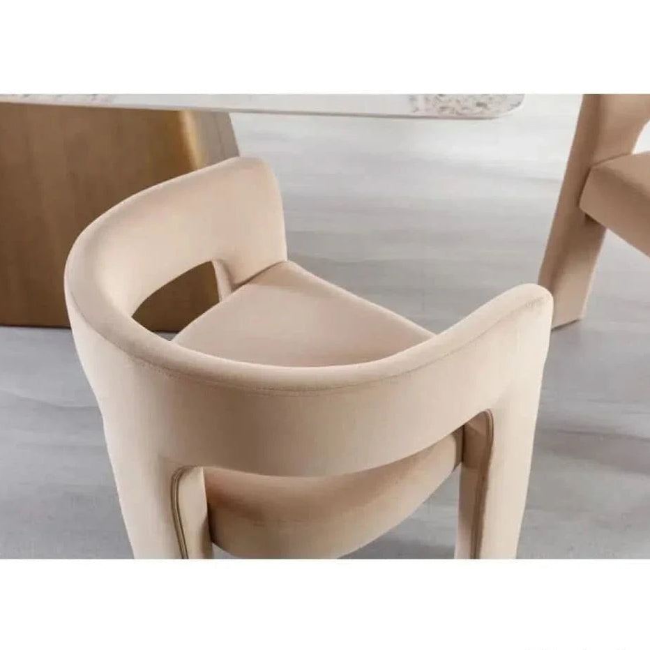 Dining Chair Modern Fabric with Padded Seat and Strong Support for Everyday Dining Comfort