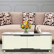 Center Table Designed with Trendy Finish and Functional Surface Ideal for Contemporary Living