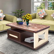 Center Table Featuring Golsy Surface and Premium for Enhanced Interior Aesthetic Appeal