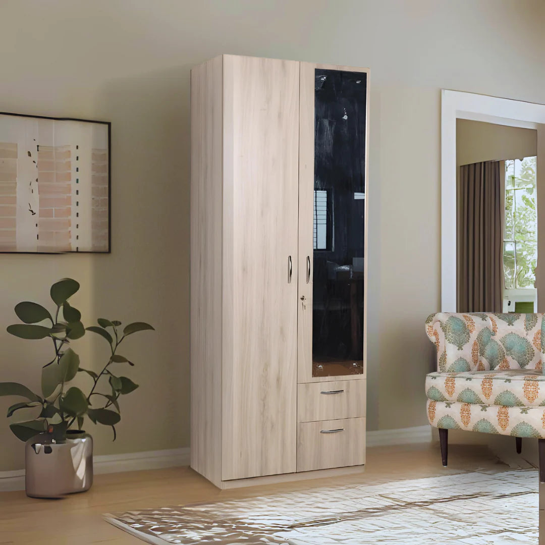 Wardrobe for Home, 2 Doors Modular Functional Shelves and Aesthetic Design for Home Interiors