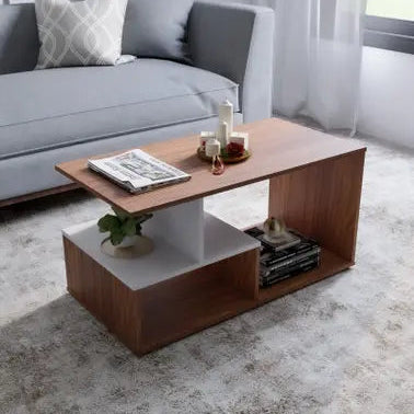 Center Table Designed with a Minimal Frame, Giving an Elegant Touch to Contemporary Homes