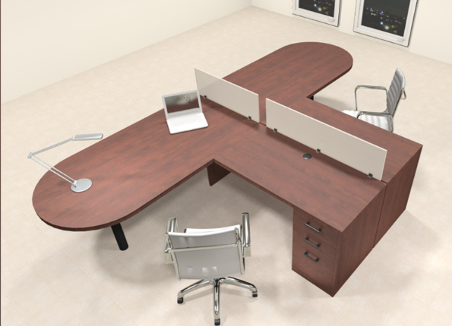 Partner Director Table with Professional Design, Twin Seating & Side Units for Storage with Wire Manager