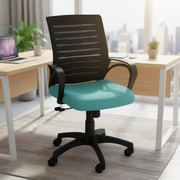 नायलॉन बेस वाली लो बैक एग्जीक्यूटिव चेयर