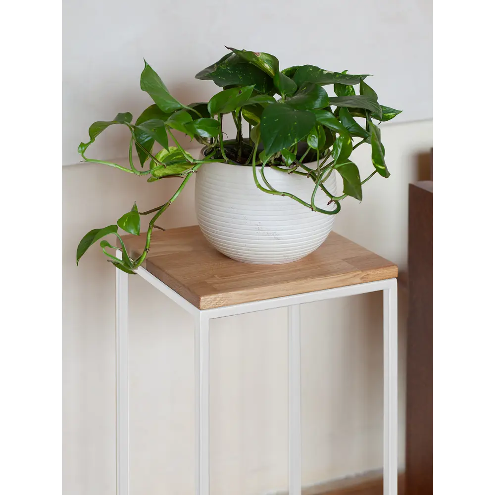 স্থায়িত্বের জন্য প্রত্যয়িত