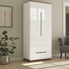 বাড়ির জন্য 2-দরজা প্রিমিয়াম স্থান-সাশ্রয়ী আল্ট্রা-প্রিমিয়াম নান্দনিক এবং কার্যকরী স্টোরেজের পোশাক