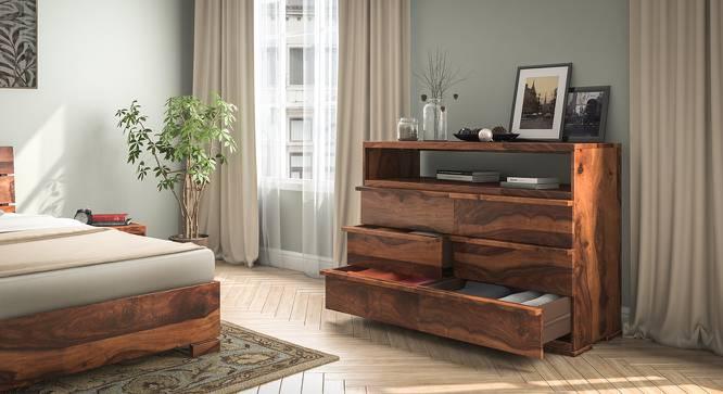 Wooden Chests Storage Cabinet Organizer with durable build for organized living spaces