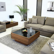 মেটাল ফ্রেম বেস গ্লাস সেন্টার টেবিল