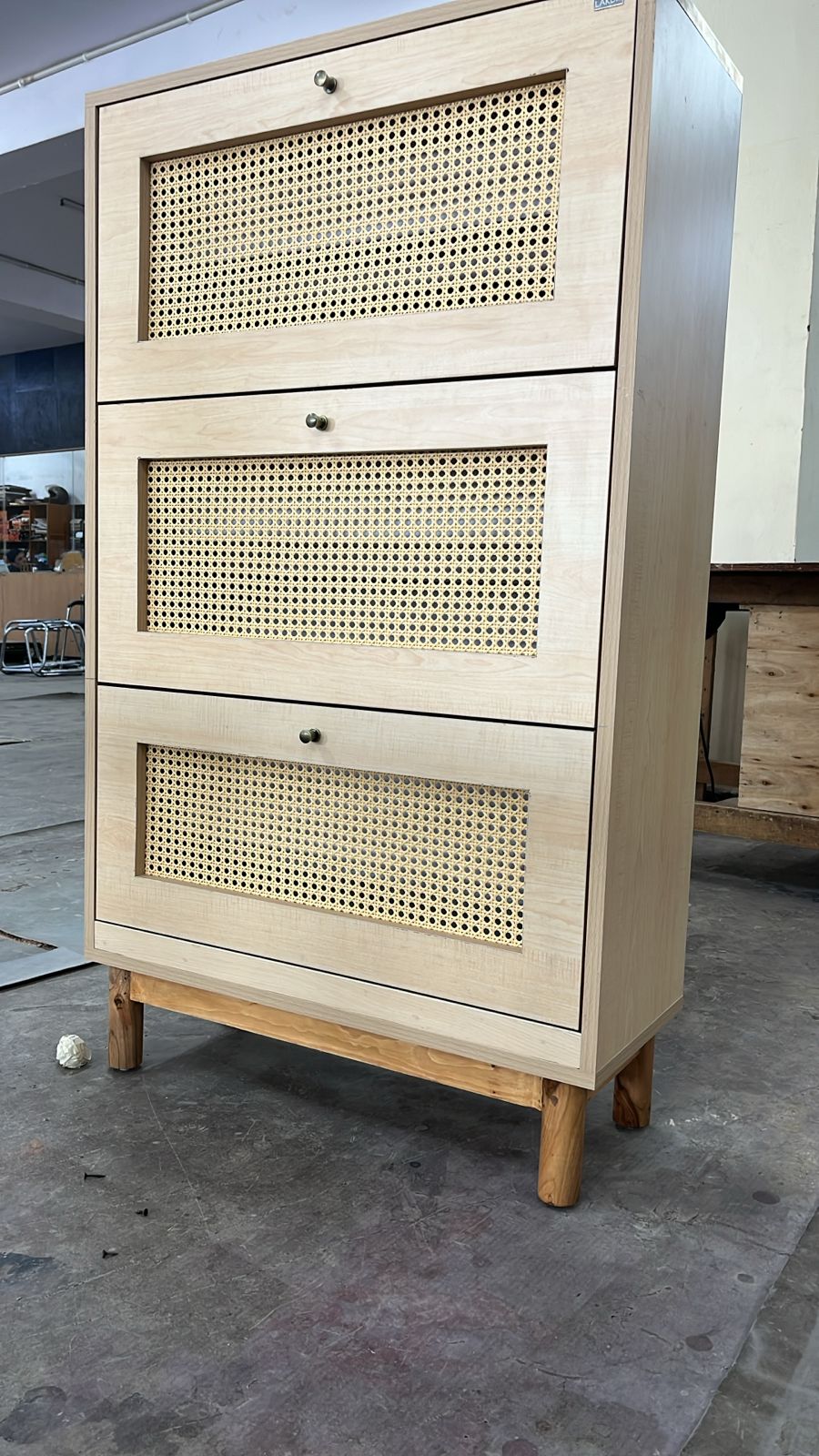 Shoe Cabinet, Storage, Closet Rack for Entryway, with Spacious Cabinet, Shelves