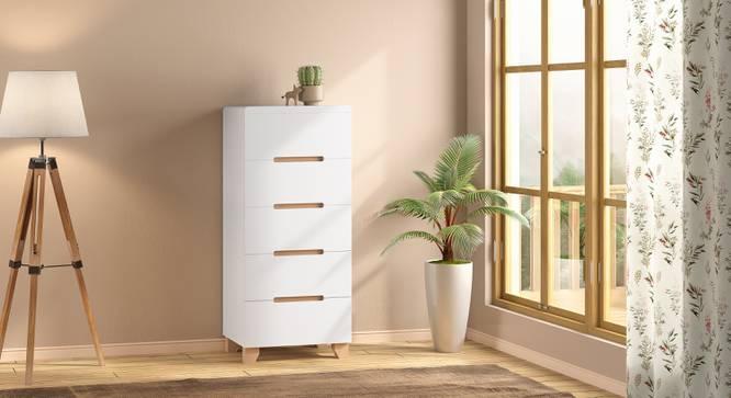 Wooden Chests Storage Cabinet Organizer with compact and durable solution for any room in your home