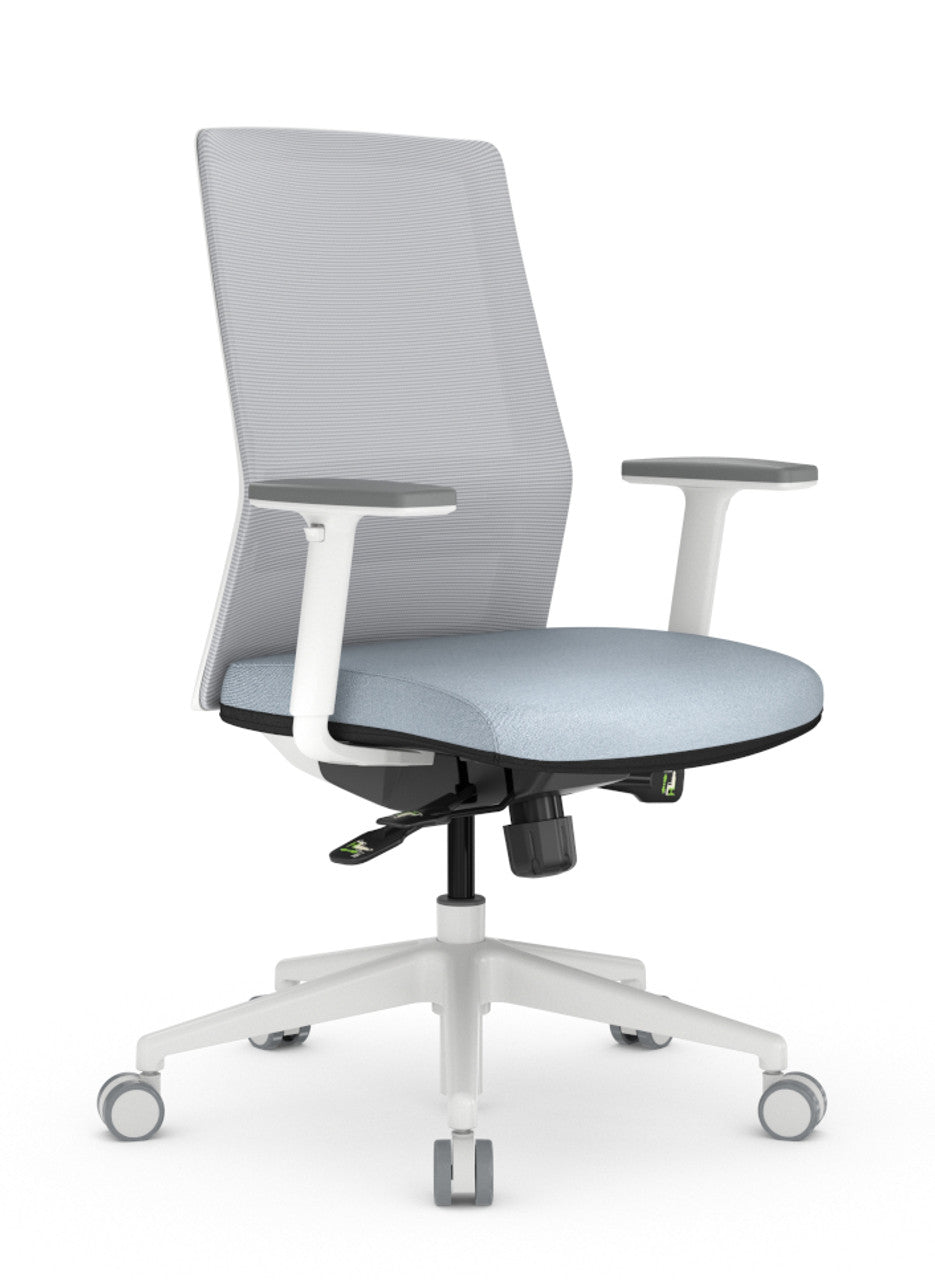Ergonomic Executive Task Chair Synchro-Tilt Recline, Adjustable Lumbar & Sliding Seat, Washable Covers, 300 lb. Capacity, Multiple -Grey