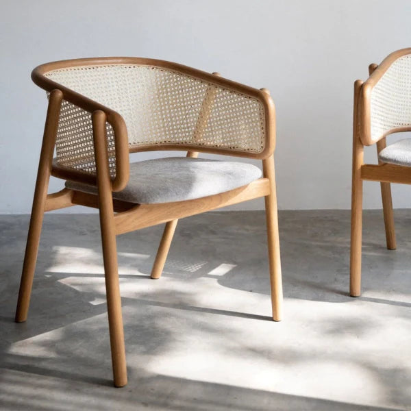 Lounge Chair for Home Furniture with Wooden Frame Base and High Durable Build for Home