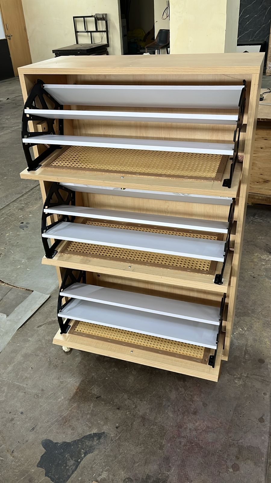 Shoe Cabinet, Storage, Closet Rack for Entryway, with Spacious Cabinet, Shelves