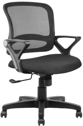 Low Back Executive Chair with Nylon Base