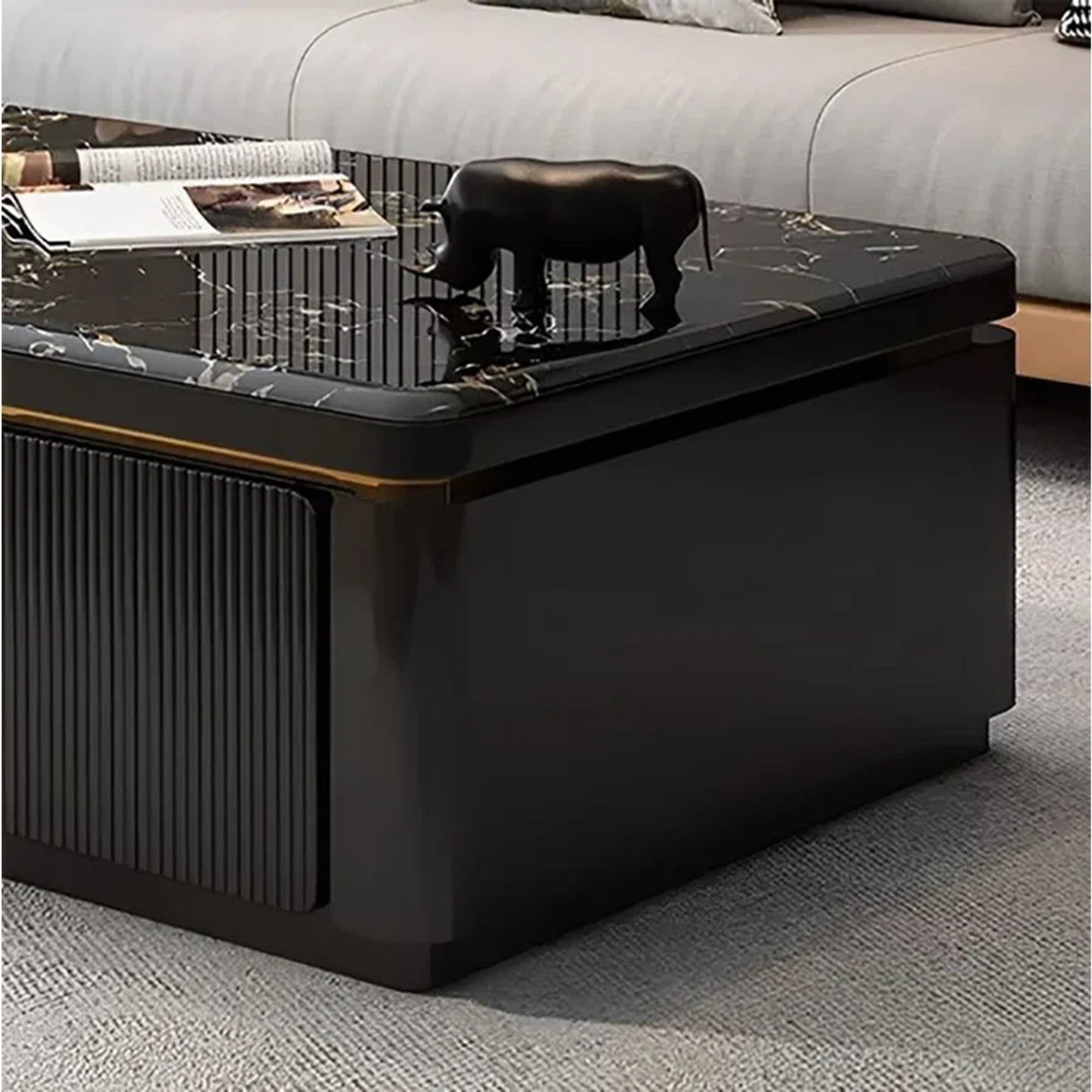 Center Table Designed with Rich Finish Offering Durability and Premium Look for the Living Room