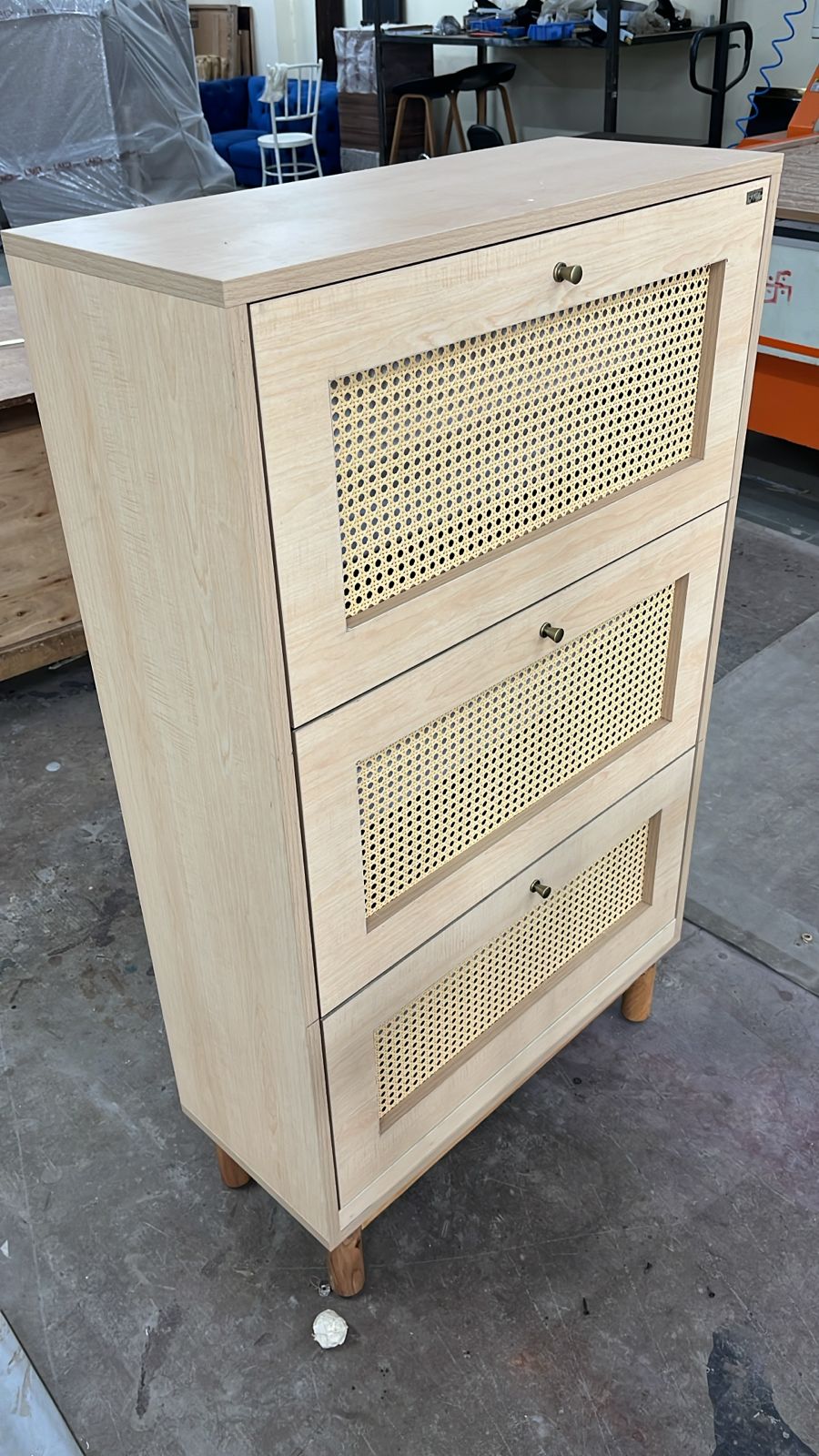 Shoe Cabinet, Storage, Closet Rack for Entryway, with Spacious Cabinet, Shelves