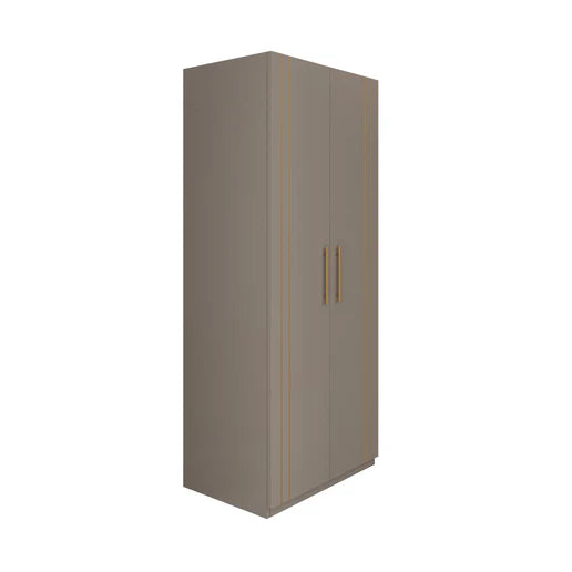 Wardrobe 2-Doors Modern Design with Soft-Close Hinges, Designer Handles, and Elegant Bedroom Storage