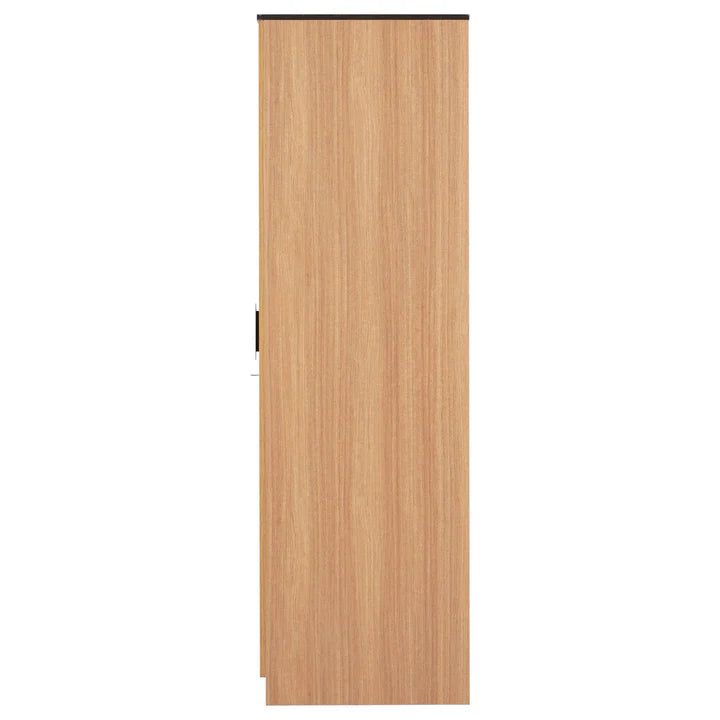 Wardrobe for Compact Bedroom Modern Design-Wardrobe with Premium Finish With Mirror.