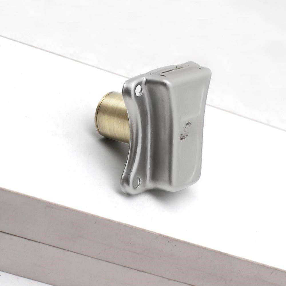 একটি সবুজ ভবিষ্যৎ গড়ে তোলা