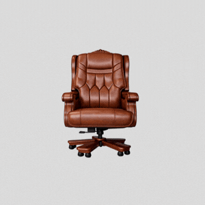 Director Chairs