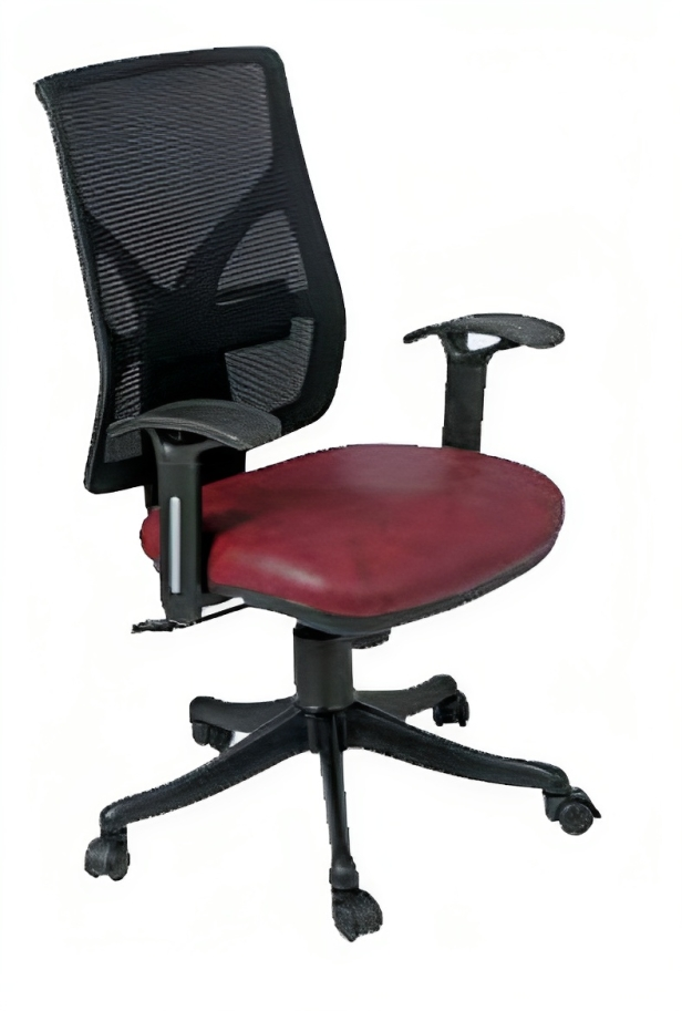 Executive Chair in Low Back with Nylon Base -