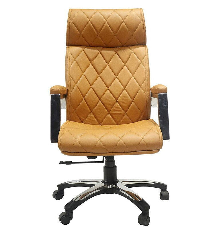 Director Chair