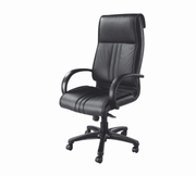 Director Chair