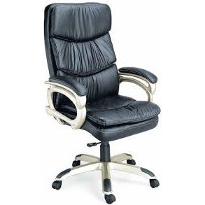 Director Chair