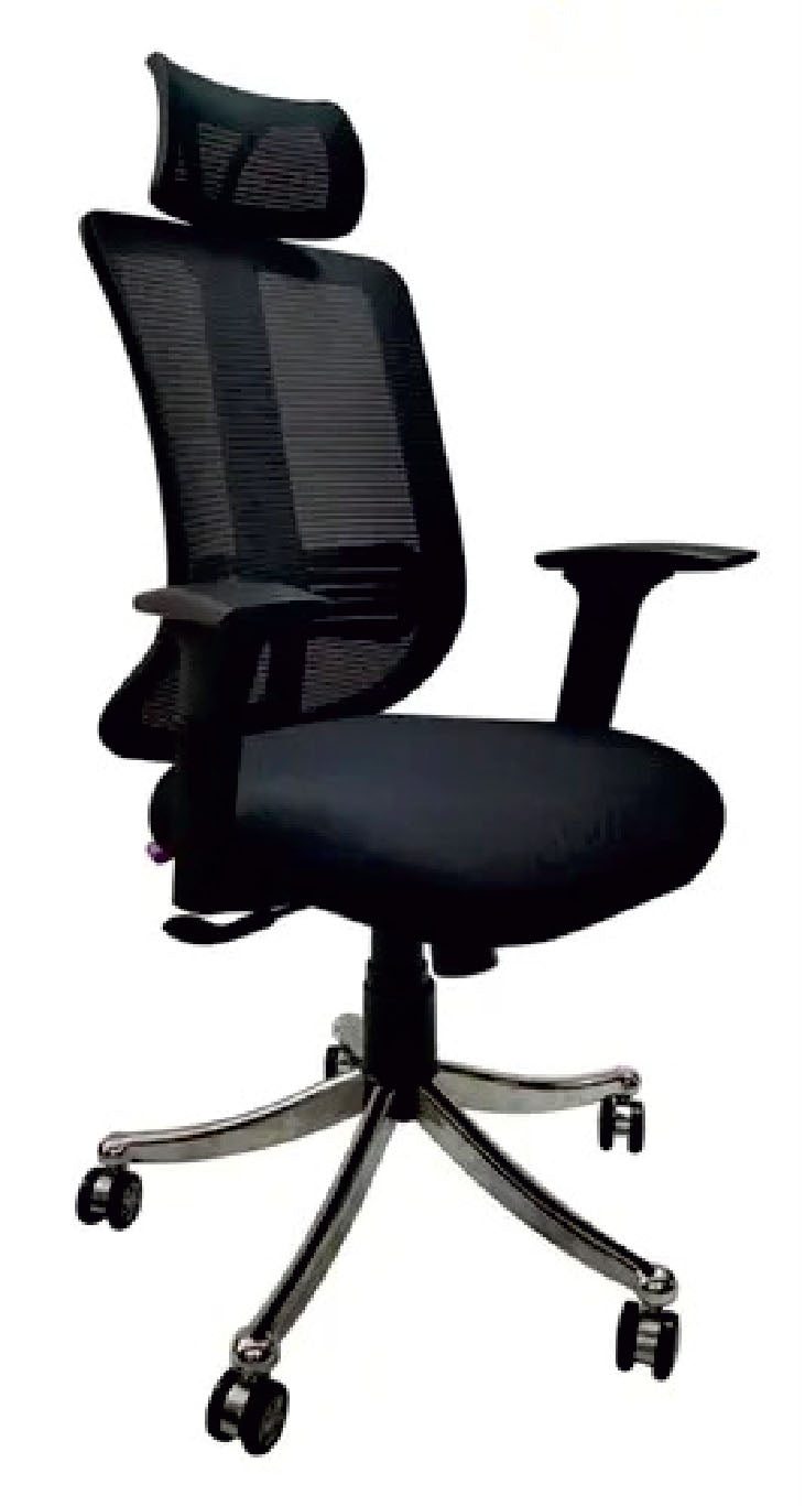 Director Chair