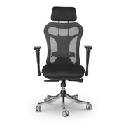 Director Chair