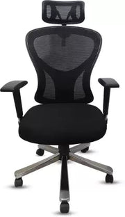 Director Chair