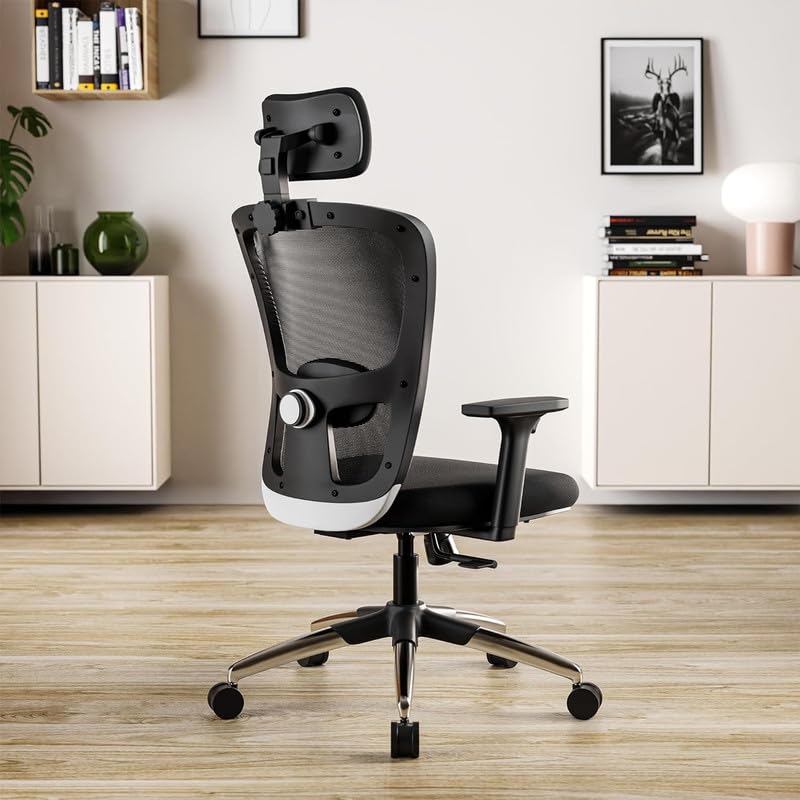 Director Chair