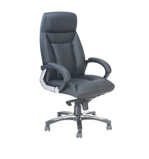 Director Chair
