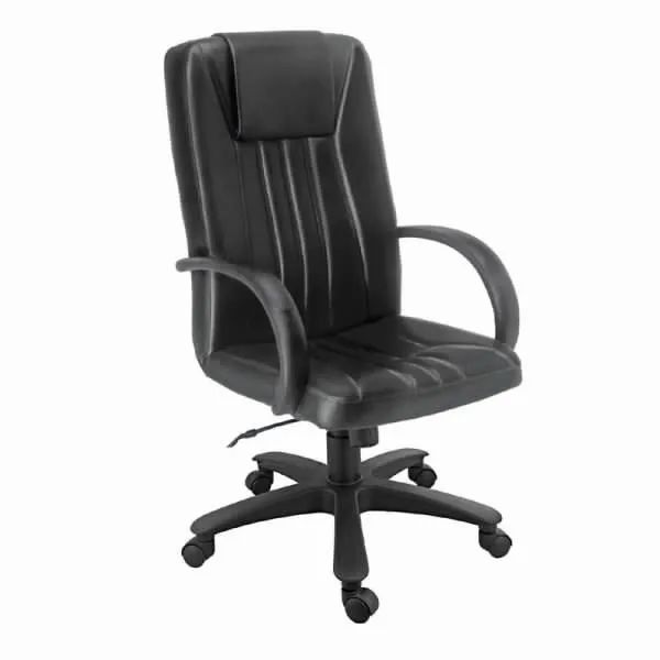 Director Chair