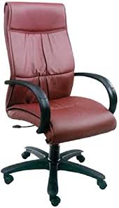 Director Chair