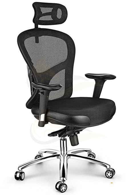Director Chair